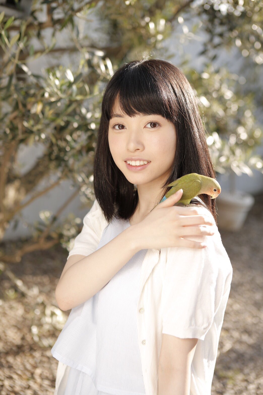 もり の 小鳥 画像 ❤️ Best adult photos at doai.tv