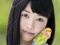 もりの小鳥