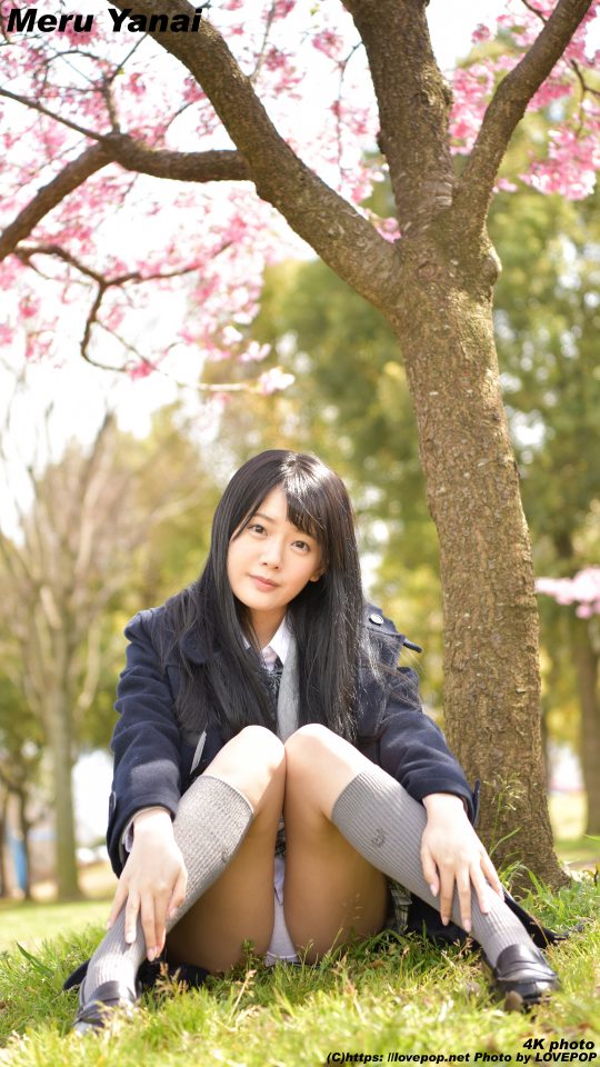柳井める